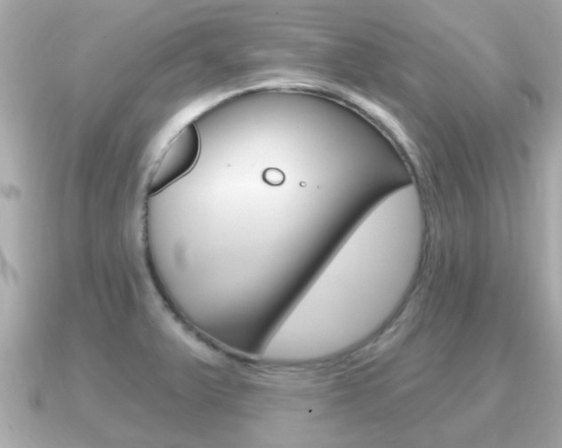 X0000091231375200708091106