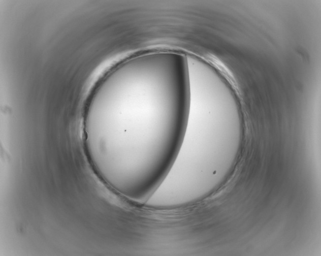 X0000091231376200708091106