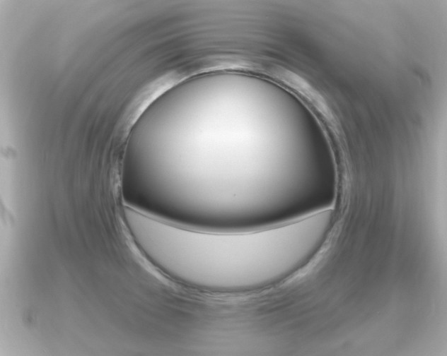 X0000091231377200708091106