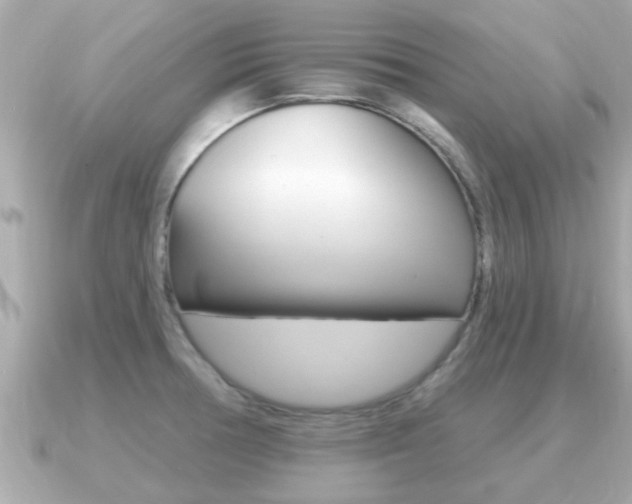 X0000091231378200708091106