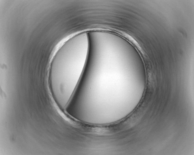 X0000091231379200708091106