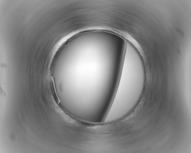 X0000091231380200708091106
