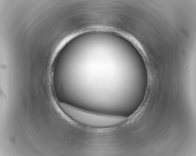 X0000091231381200708091106