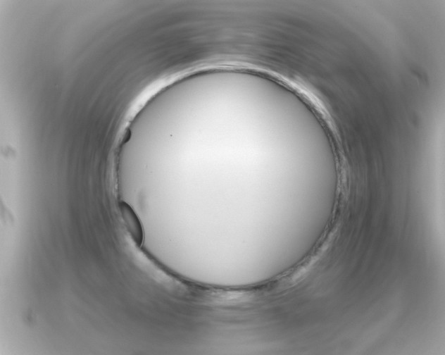 X0000091231382200708091106