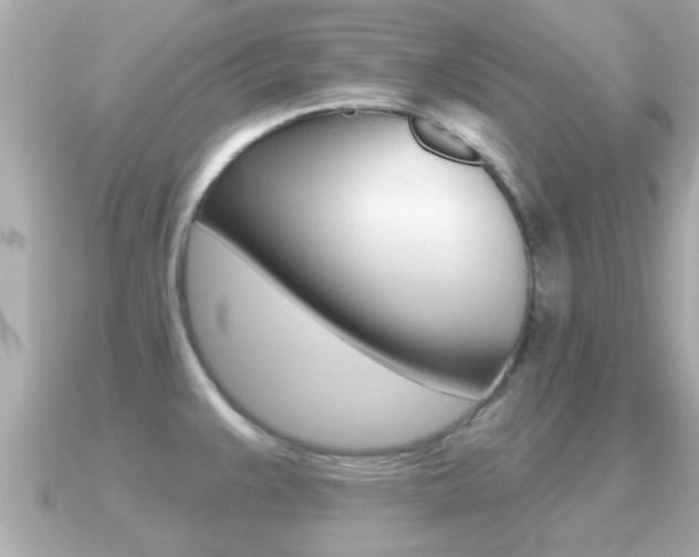 X0000091231383200708091106