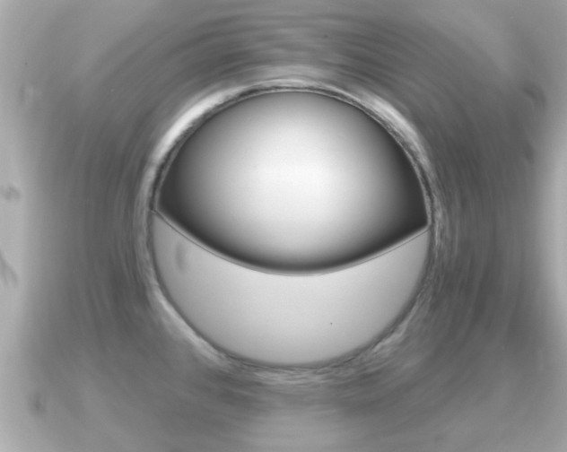 X0000091231384200708091106