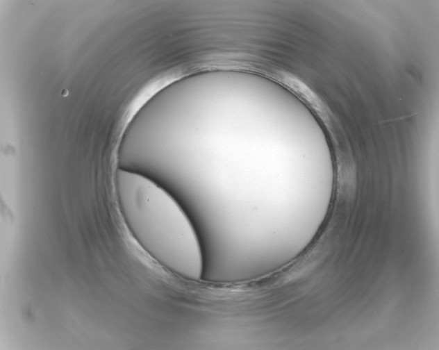 X0000091231386200708091106