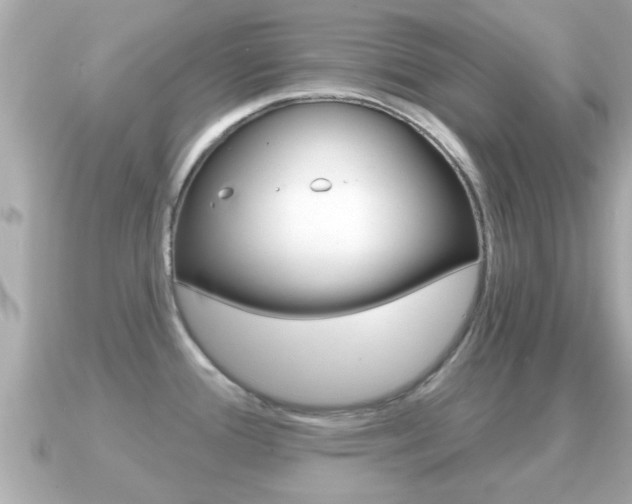 X0000091231388200708091105