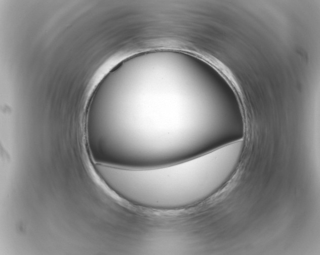 X0000091231389200708091105