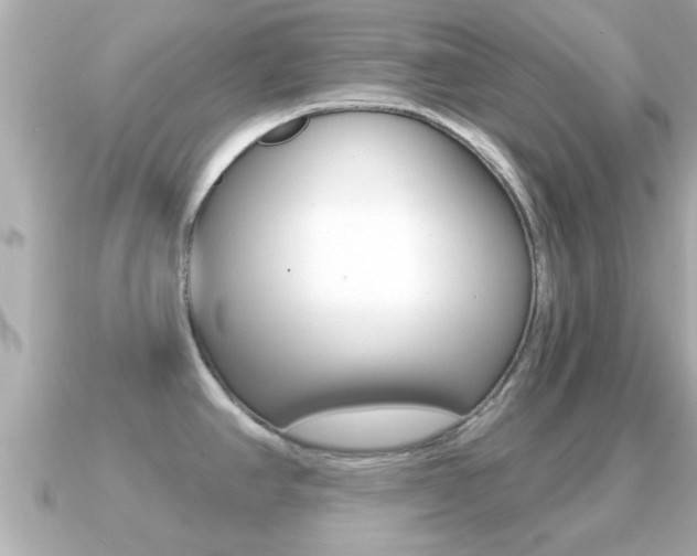 X0000091231390200708091105
