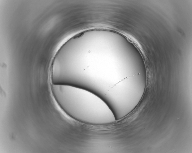 X0000091231391200708091105