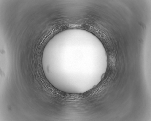 X0000091231393200708091105