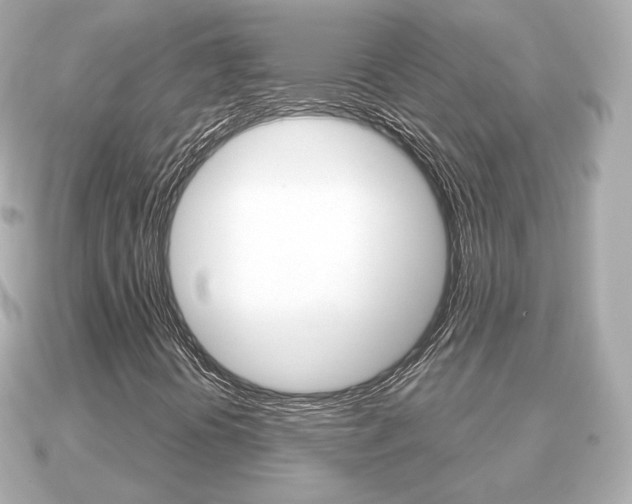 X0000091231394200708091105