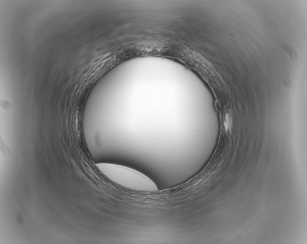 X0000091231396200708091105