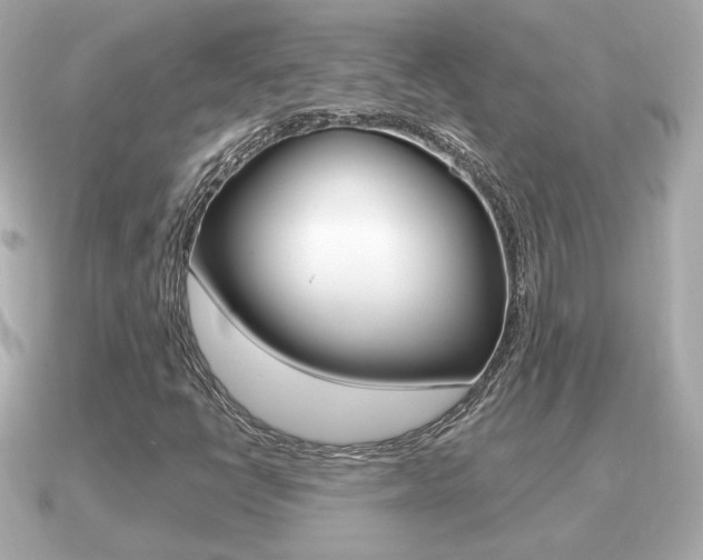 X0000091231398200708091105