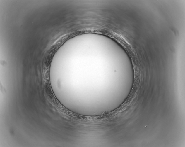 X0000091231399200708091105