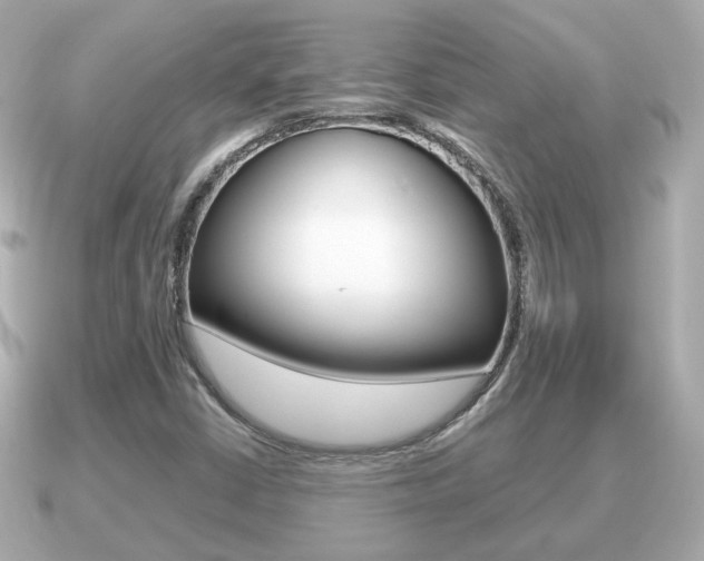 X0000091231402200708091105