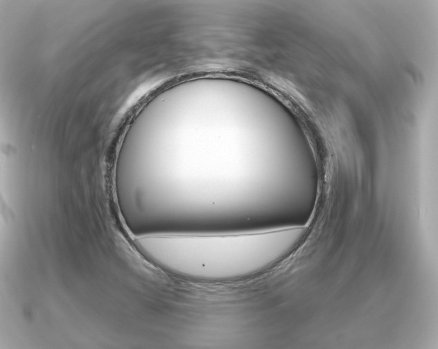 X0000091231404200708091105