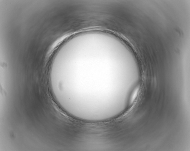 X0000091231406200708091105