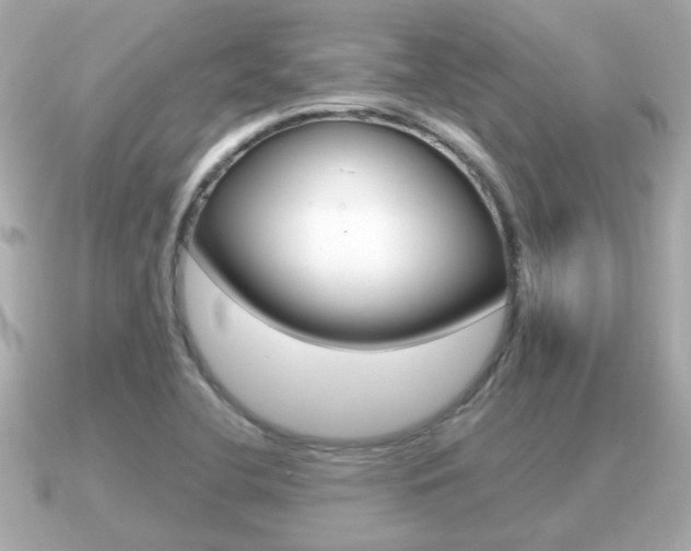 X0000091231412200708091105