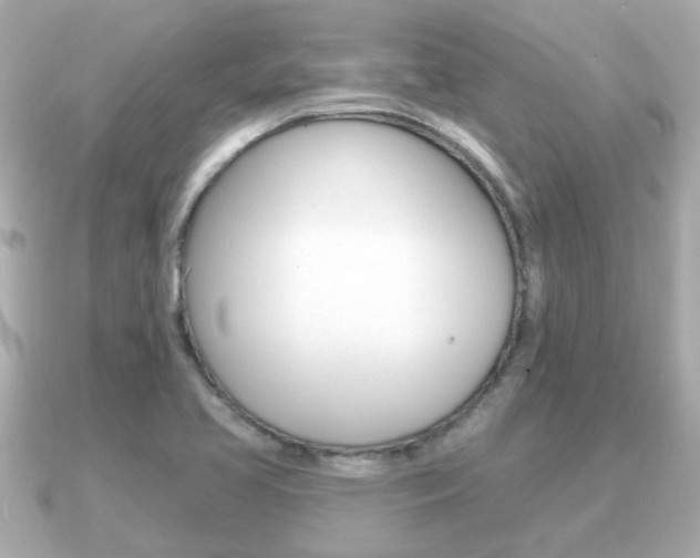 X0000091231413200708091105