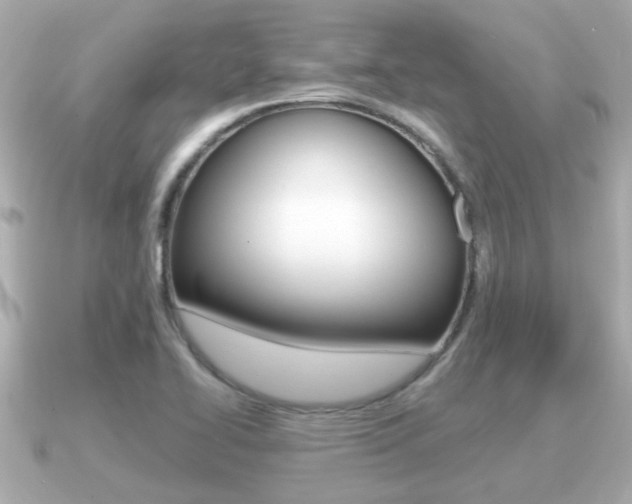 X0000091231414200708091105