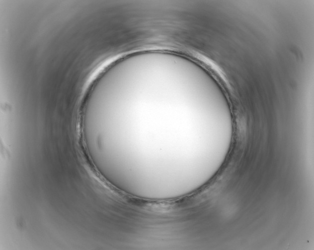 X0000091231415200708091105