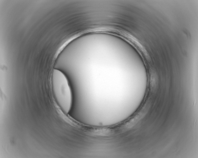 X0000091231417200708091105