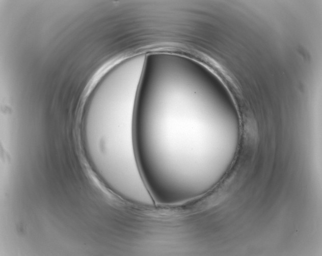 X0000091231418200708091105