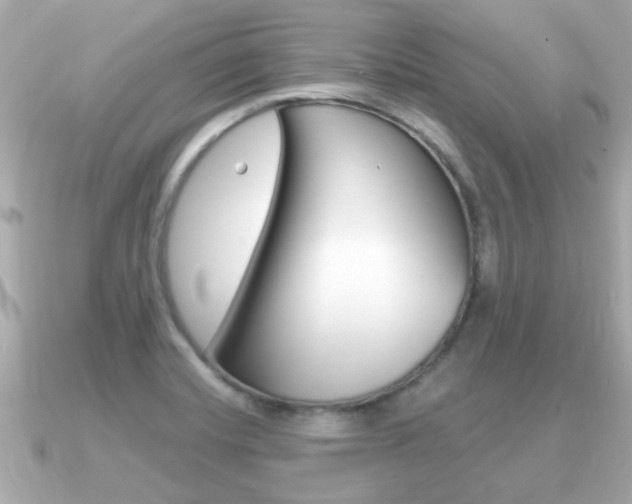 X0000091231420200708091105