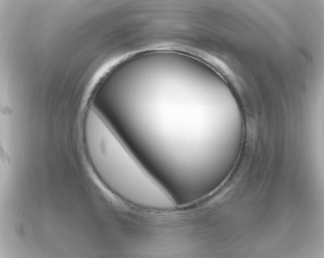 X0000091231424200708091105