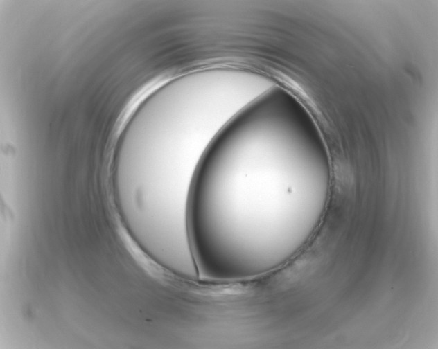 X0000091231426200708091105