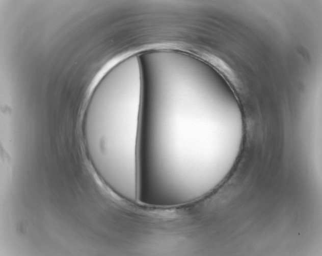 X0000091231428200708091105