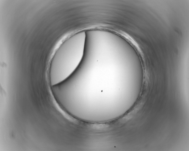 X0000091231429200708091105