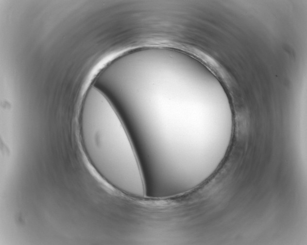X0000091231432200708091105
