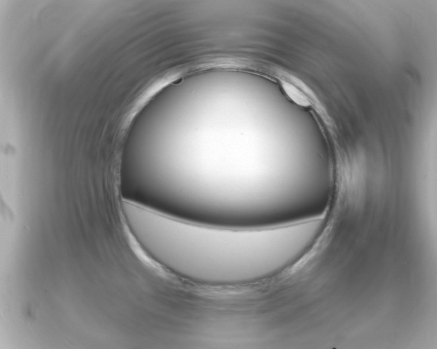 X0000091231433200708091105