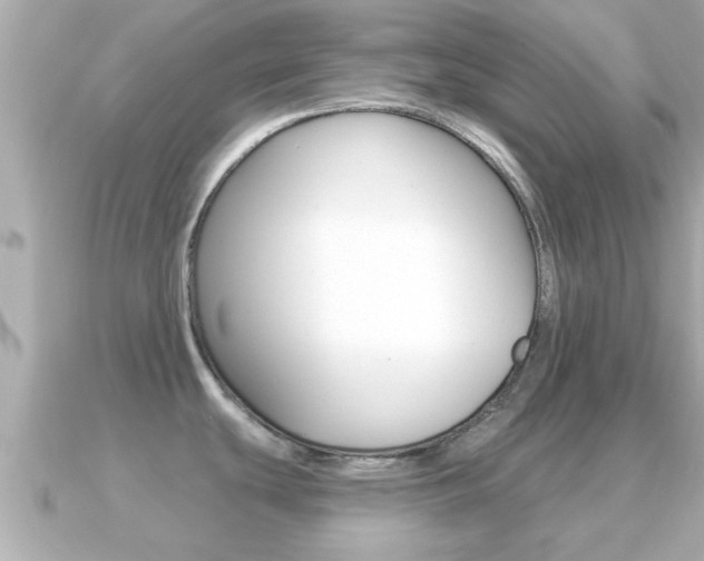 X0000091231439200708091105