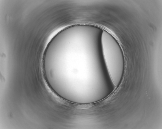 X0000091231440200708091105