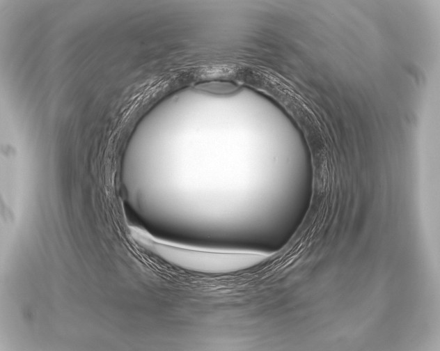 X0000091231441200708091105
