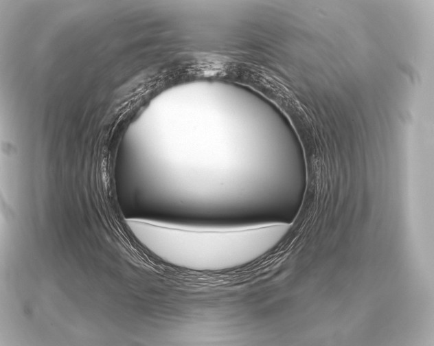 X0000091231442200708091105