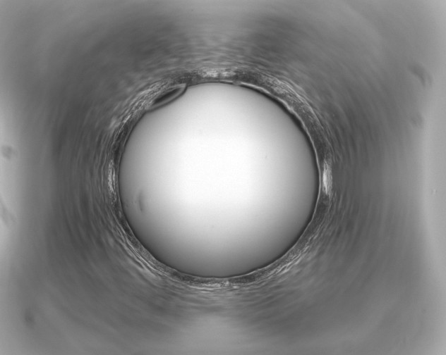 X0000091231444200708091105