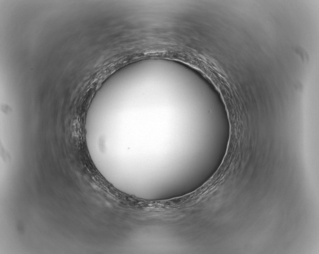 X0000091231445200708091105