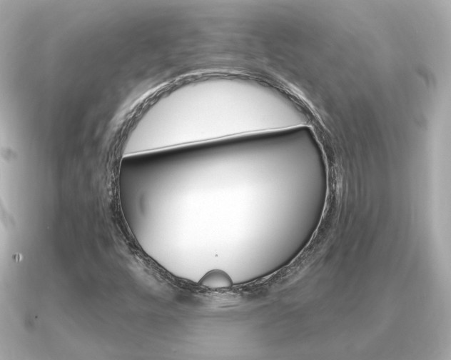 X0000091231448200708091105