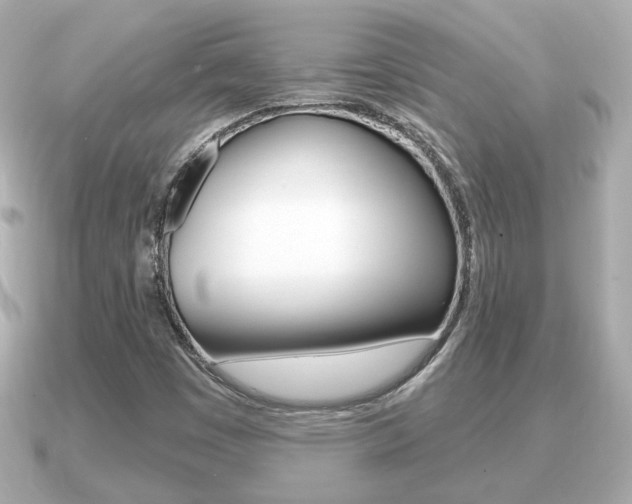 X0000091231449200708091105