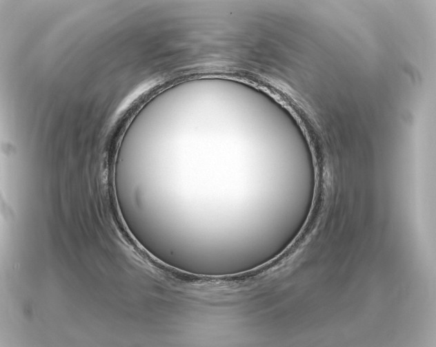 X0000091231450200708091105