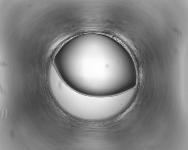X0000091231453200708091105