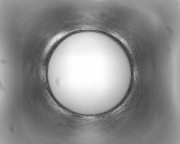 X0000091231454200708091105