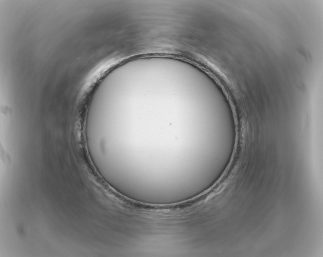 X0000091231455200708091105