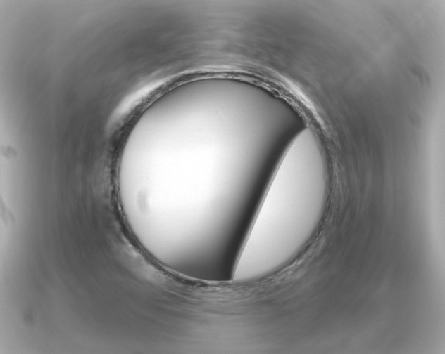 X0000091231456200708091105