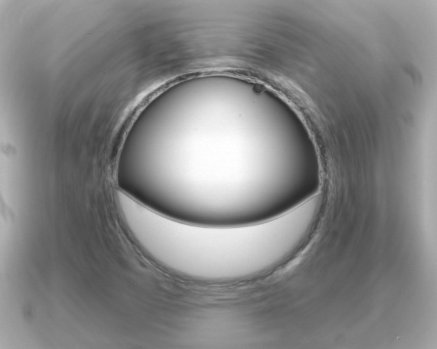 X0000091231457200708091105